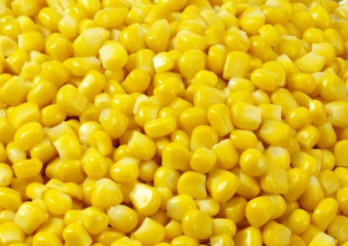 Organic Sweet Corn Kernels